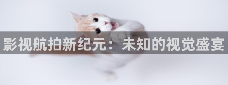 草莓视频app100：影视航拍新纪元：未知的视觉盛宴