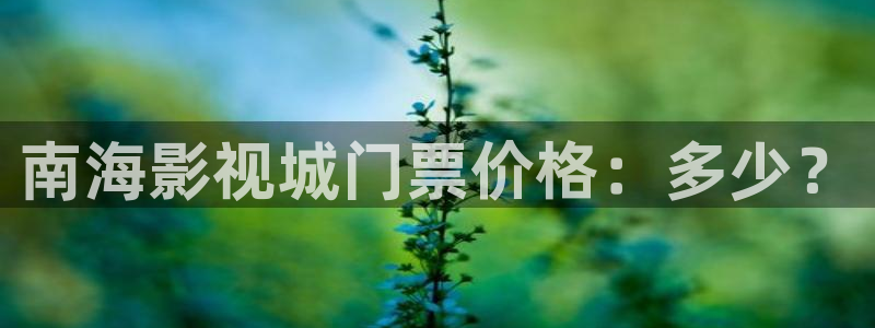 草莓,视频