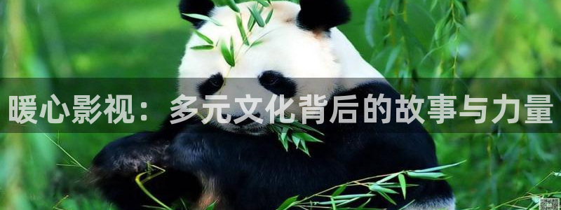 草莓视频,.