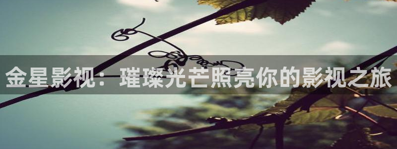 草莓视频福利下载
