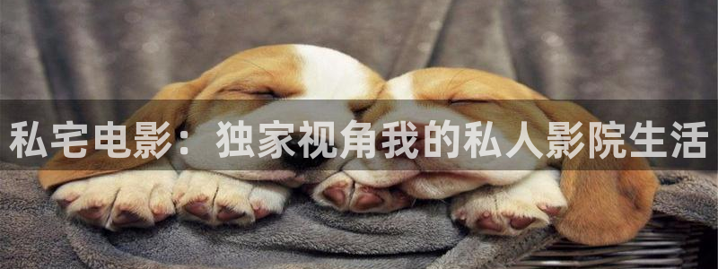 草莓视频网址：私宅电影：独家视角我的私人影院生活