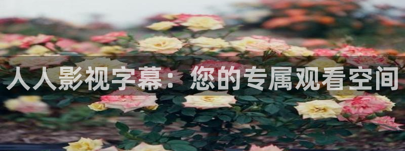 亚洲日本草莓视频：人人影视字幕：您的专属观看空间