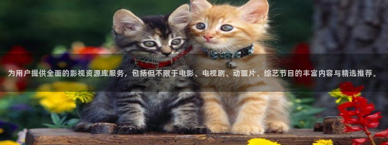 草莓视频位置：为用户提供全面的影视资源库服务，包括但不限于电影、电视剧、动画片、综艺节目的丰富内容与精选推荐。