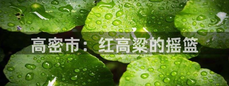 草莓视频午夜在线观看